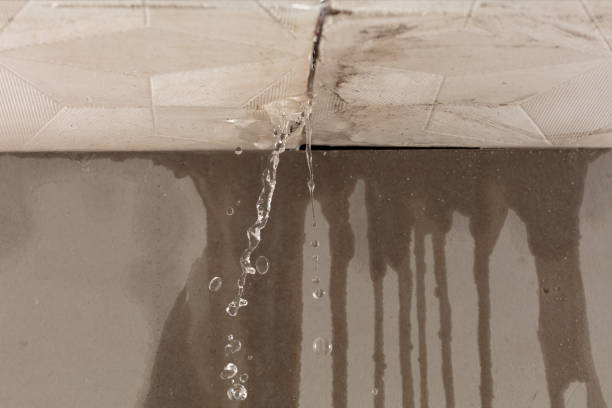 Professional Burst Pipe Cleanup technician working in Weston, NE
